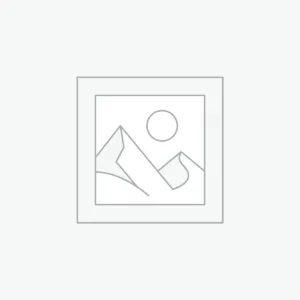 AI Skills & Prompts